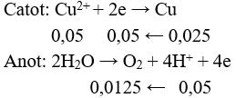 Đề kiểm tra Giữa kì 2 Hóa học 12 có đáp án (Trắc nghiệm - Tự luận - Đề 1)