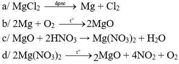 Đề kiểm tra Giữa kì 2 Hóa học 12 có đáp án (Trắc nghiệm - Tự luận - Đề 2)