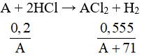 Đề kiểm tra Giữa kì 2 Hóa học 12 có đáp án (Trắc nghiệm - Tự luận - Đề 5)