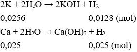 Đề kiểm tra Giữa kì 2 Hóa học 12 có đáp án (Trắc nghiệm - Đề 3)