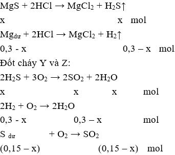 Đề kiểm tra Giữa kì 2 Hóa học 12 có đáp án (Trắc nghiệm - Đề 4)